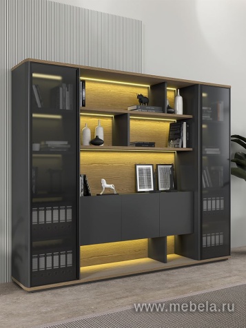 Кабинет руководителя Ion