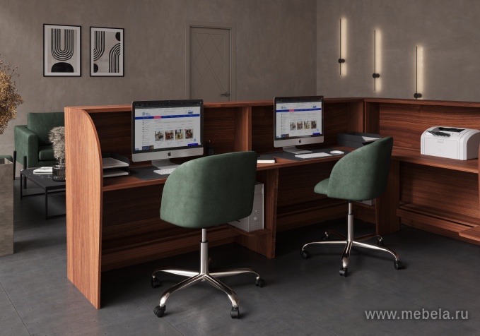 ресепшн Rapid