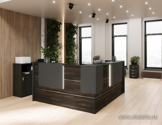 ресепшн Onix Mali