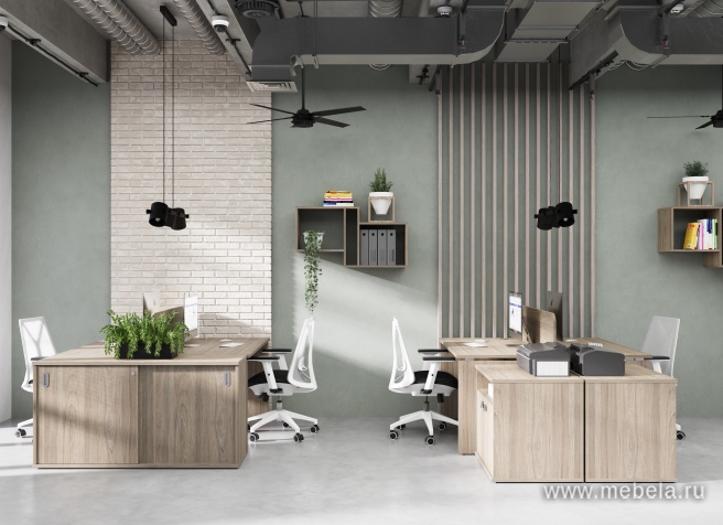 офисная мебель Style Elm