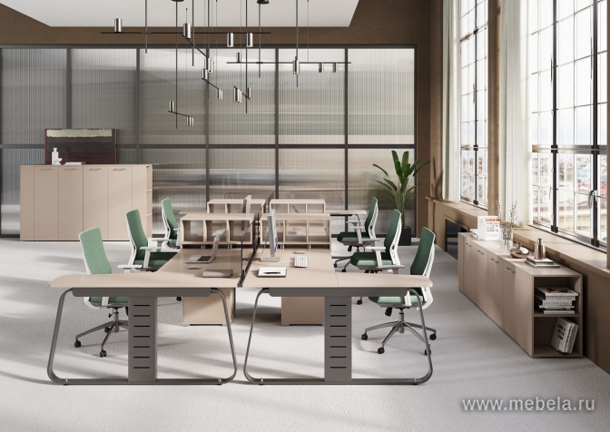 мебель Genesis